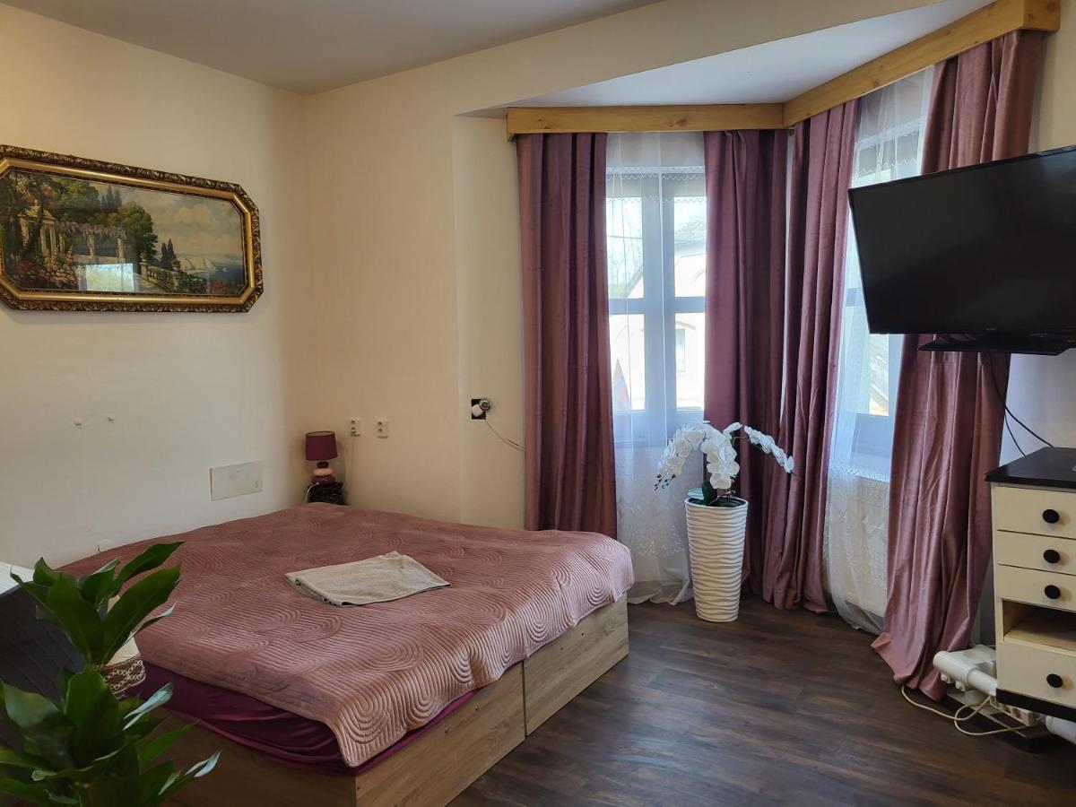 Pension Doctor Dvur Kralove nad Labem Room photo