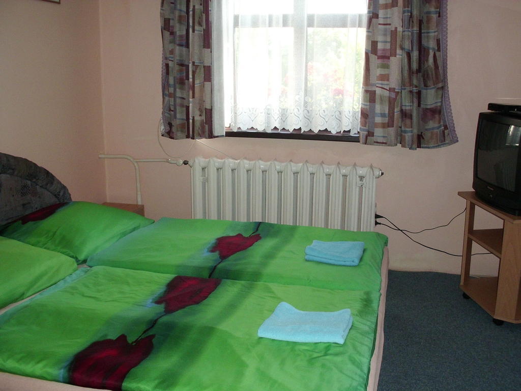 Pension Doctor Dvur Kralove nad Labem Room photo