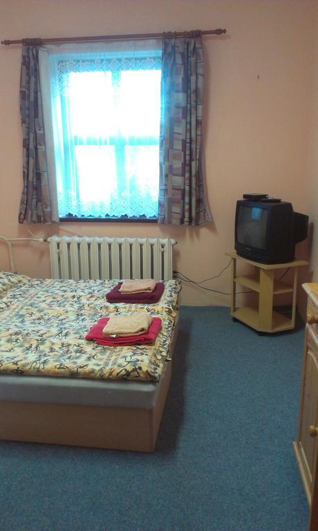 Pension Doctor Dvur Kralove nad Labem Room photo